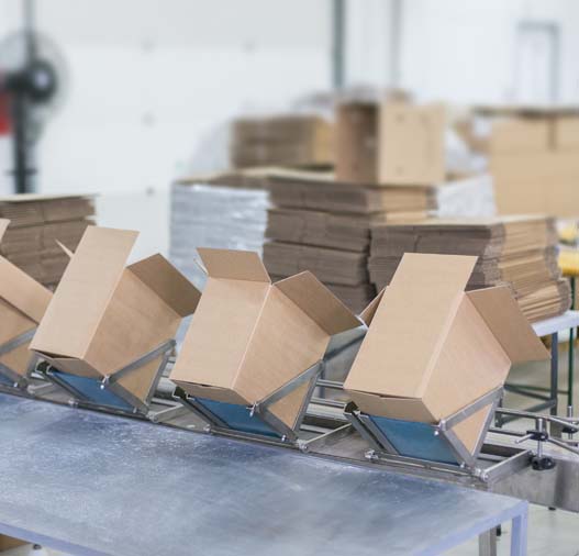 Professional Packing & Labelling